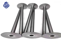 Paip Tantalum Perlindungan Thermocouple
